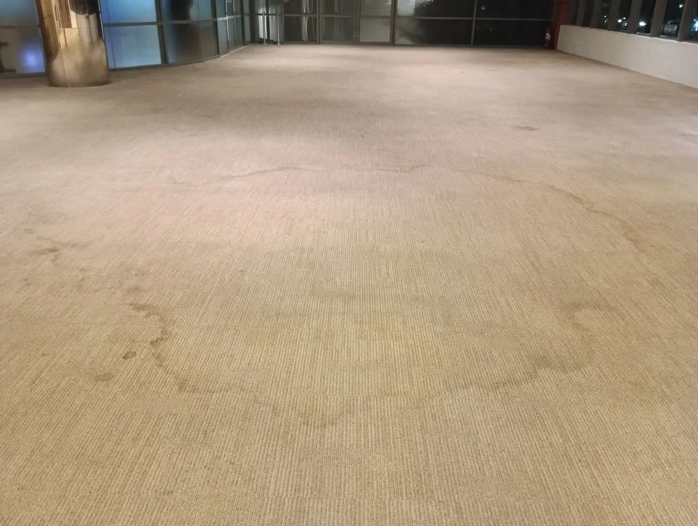 Carpete de escritório antes da higienização em São Paulo